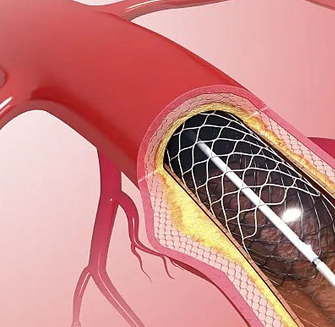 PP电子(中国)集团官网