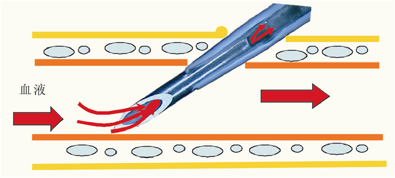 PP电子(中国)集团官网
